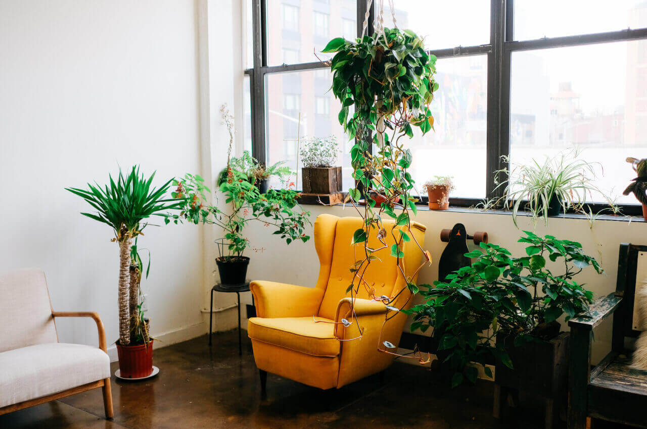 3 BHK Flat in Vijay Nagar, Indore